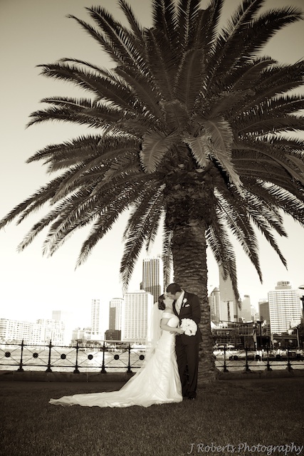 Bride & Groom Palm Tree - Wedding photography